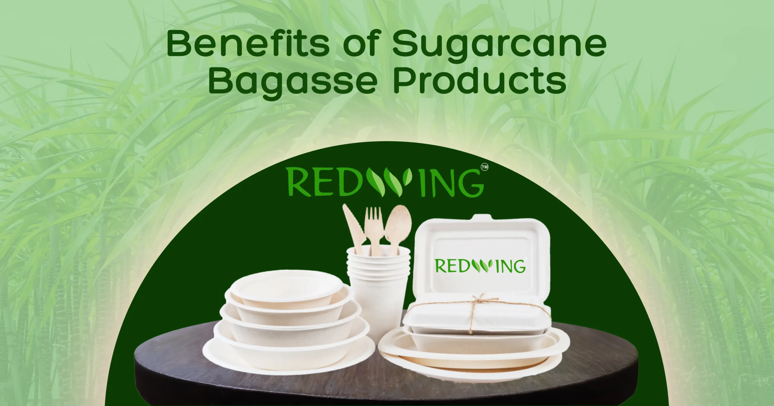 Bagasse Product