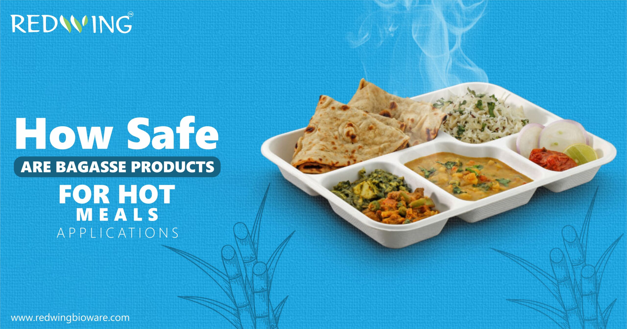 Bagasse container for Hot meals
